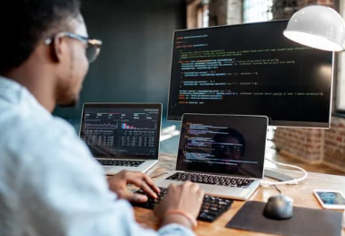 Beyond the Code: The Business Value of Software