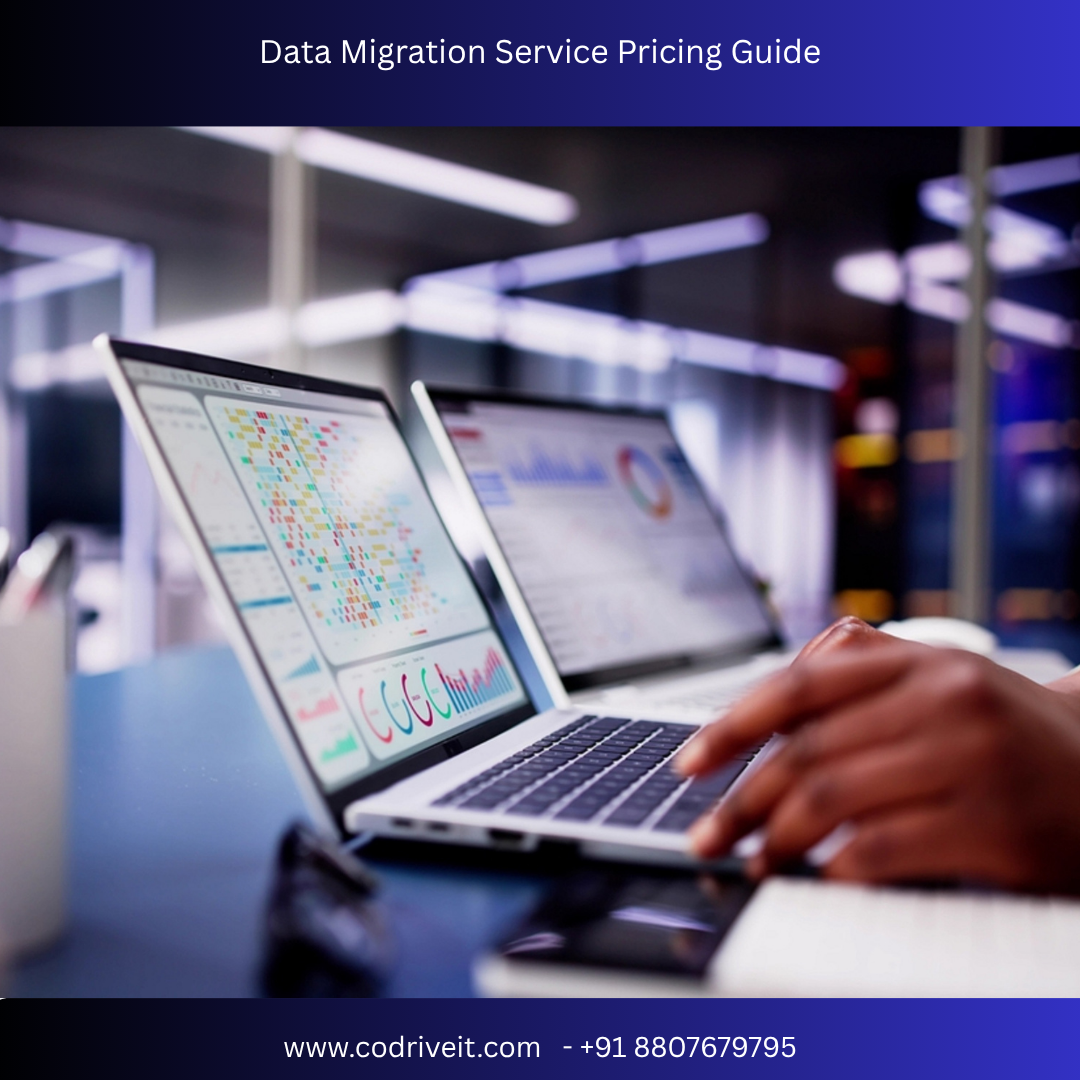 Data Migration Service Pricing Guide